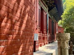 -洛阳白马寺