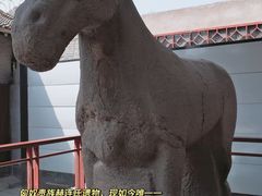 -西安碑林博物馆