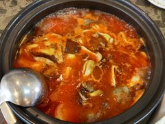 -乳仔牛牦牛汤锅 烤羊排(松潘古城店)