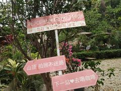 -火炉山森林公园