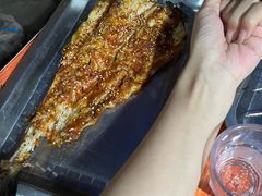 -小老虎
