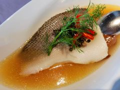 fusion水煮鱼-梧桐北京烤鸭·铜锅涮肉(海岸城店)