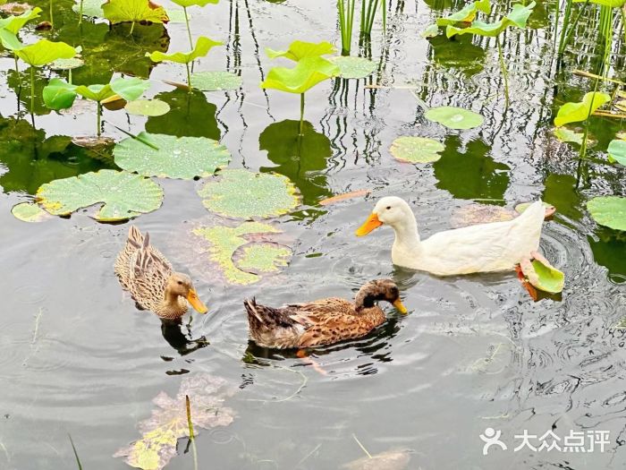 大明宫国家遗址公园·御道广场图片