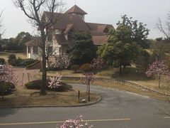 -南通鹏欣花园国宾酒店