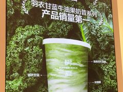 -树夏(金楠天街店)