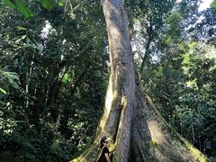 -中国科学院西双版纳热带植物园