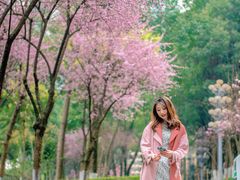 -重庆市江北嘴中央商务区中央公园