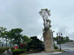 -江南天池
