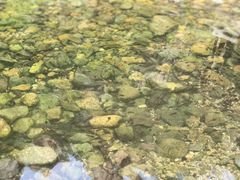 -碓臼峪自然风景区