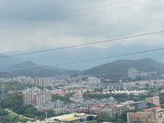 -福道