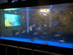 -润青四季音乐主题餐厅·椰子鸡(罗湖店)