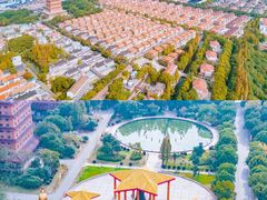 -华西村