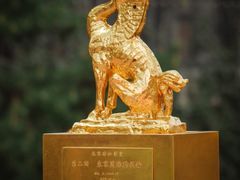 -西安电影制片厂