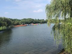 -东方绿舟景区