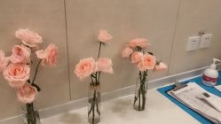 -Lily纤美·科技减脂中心