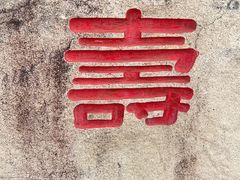 -上海滨江森林公园
