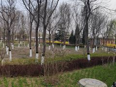 -大兴滨河森林公园