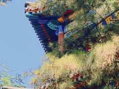 -承德避暑山庄景区