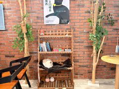 -豆逗聊愈猫阁Easy Life