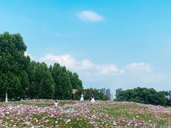 -洋湖国家湿地公园