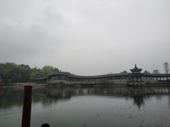 -越弥越南传统美食馆