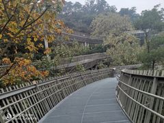 -梅峰山地公园