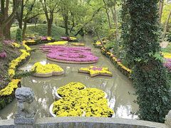 -汇龙潭