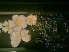 -Dragonfly悠庭·按摩Spa(静安嘉里中心店)