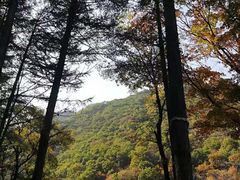 -龙道沟景区