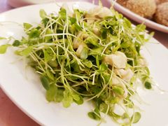 桃仁香椿苗-烤肉宛饭庄(南礼士路店)