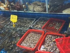 -船奇蒸汽海鲜·闽菜(八市海鲜总店)