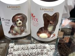 -Laderach 莱德拉(上海环贸iapm店)