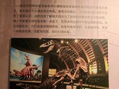 -重庆自然博物馆(新馆)