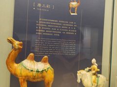 -镇江博物馆