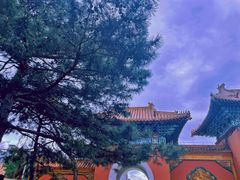 -北陵公园
