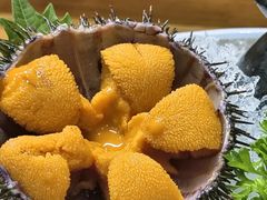 -鮨桐日本料理(望京店)