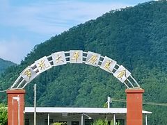 -罗坑大草原