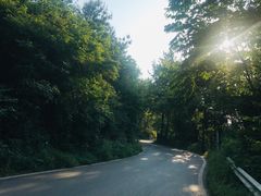 -青龙山国家森林公园