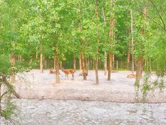 -溱湖国家湿地公园