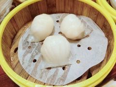-火齐潮汕砂锅粥(五道口店)