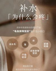 -玛莲朵·海菲秀冰珀科