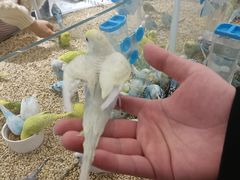 -百联西郊购物中心·停车场