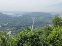 -大屏嶂森林公园