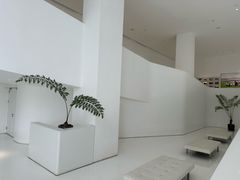 -罗红摄影艺术馆