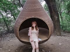 -东湖落雁景区
