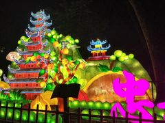 -南山植物园