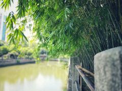 -晓港公园