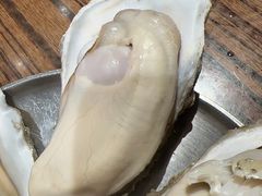 -蚝堡海鲜·威海菜·海肠捞饭·烧烤·亚洲吃蚝公司(幸福门店)