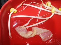 -钢管厂五区小郡肝串串香(南山店)