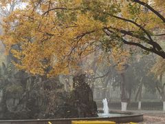 -山东大学(趵突泉校区)